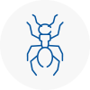 Ant Removals In Torpoint