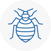 Bed Bug Extermination In Torpoint