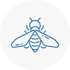 Bee Nest Removal Torpoint