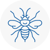 Torpoint Hornet Nest Removals