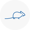 Mice Exterminators In Torpoint