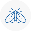 Moth Control Specialists In Torpoint