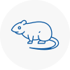 Rat Control Torpoint