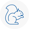 Torpoint Rodent Removals